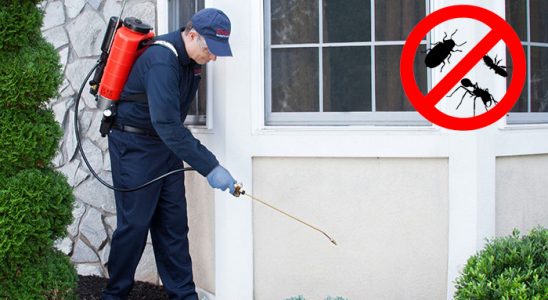Çaycuma Gümüşkurt İlaçlama böcek ilaçlama ve haşere kontrolü — ilaclama-tr.com